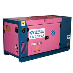 罗飒25kw静音柴油发电机 高效可靠的机械设备租赁解决方案